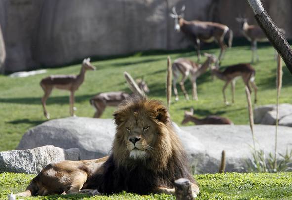 BIOPARC 