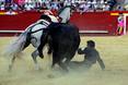Los rejoneadores colocan las banderillas a los astados en la Feria de Julio de Valencia